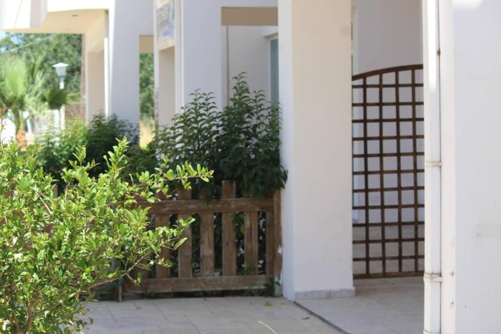 Spacious & Cozy Apartment, With Big Yard, In Kos Exterior foto